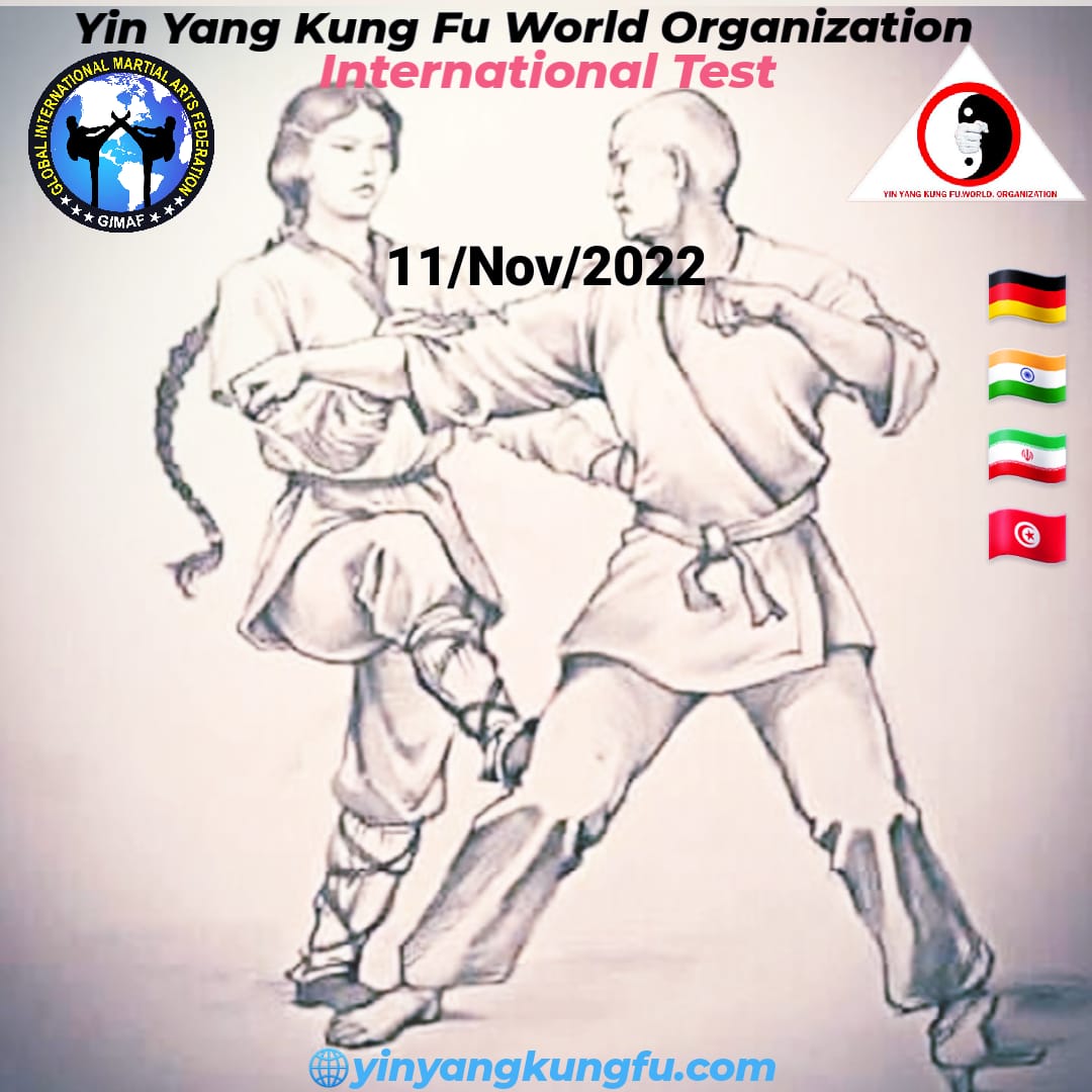 International Martial Art Test 11th November 2022